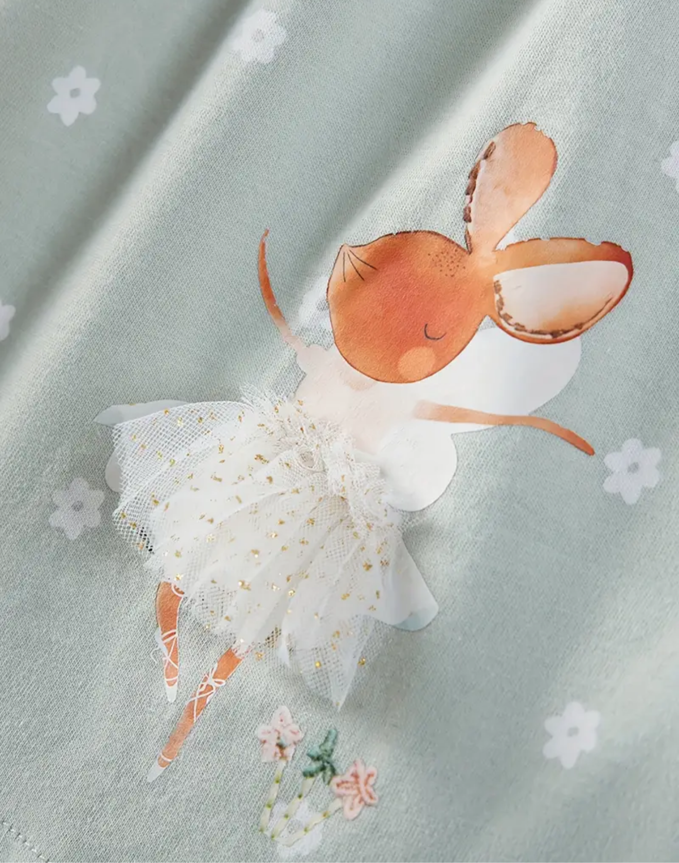 Ballet dancers dress