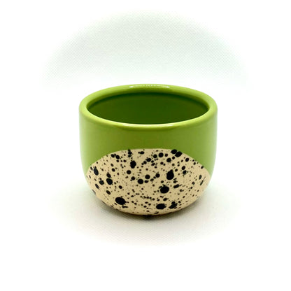 Doted Green CUP