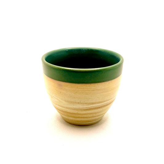 Succulent CUP